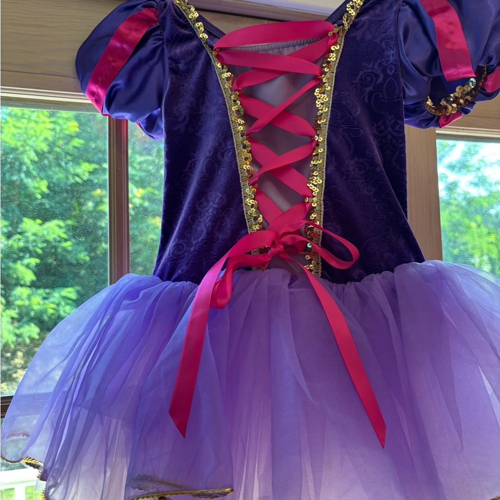 Wish Purple and Pink Kids Dance Costume